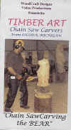 Video-Chain Saw Carving the Bear