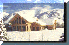 check1.gif