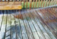 deck-rinse1.jpg