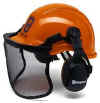 Helmet with ear muffs, neck cover and face screen